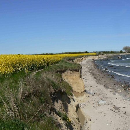 Strandperle 2 - Großenbrode Dış mekan fotoğraf